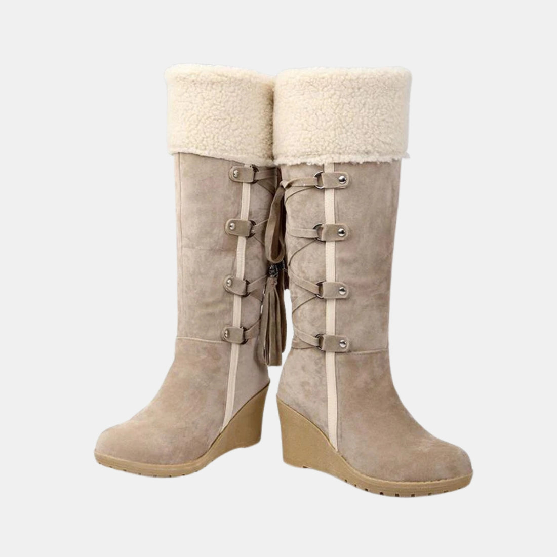 Damen Winterstiefel mit Fellfutter und Keilabsatz in Schwarz auf F0F0F0 Hintergrund – warme, rutschfeste Winterstiefel für kaltes Wetter